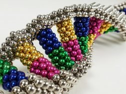 DNA Replication with Magnetic Balls