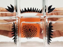 Ferrofluid in a bottle to view Magnetic Fields