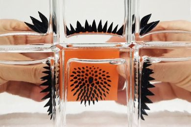 Ferrofluid in a bottle to view Magnetic Fields