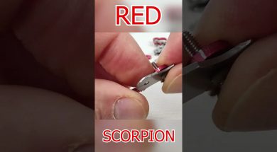 Red_Scorpion_DqOlFN5krFo_