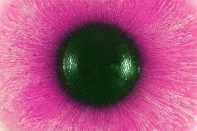 Magics with ferrofluid | Magnetic Games