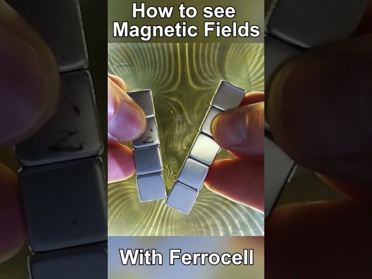 Ferrocell How to see Magnetic Fields with Ferrocell – Magnetic Games