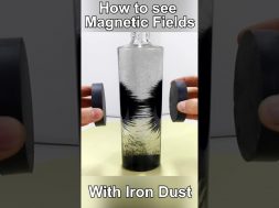 How to see Magnetic Fields with Iron Dust