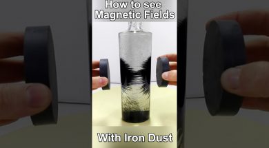 How to see Magnetic Fields with Iron Dust