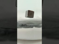 Magnet in Quantum Levitation