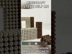 Minecraft Steve helps me build a House