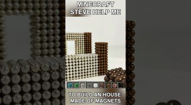 Minecraft Steve helps me build a House