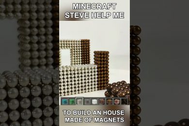 Minecraft Steve helps me build a House