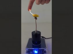 Tesla Flower Coil