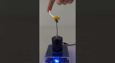 Tesla Flower Coil