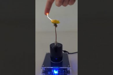 Tesla Flower Coil