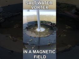 Water Vortex in a Magnetic Field