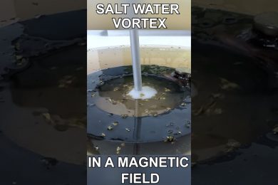 Water Vortex in a Magnetic Field