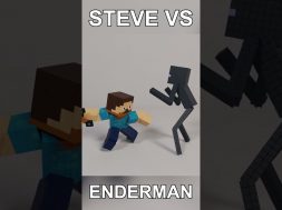 Steve VS Enderman