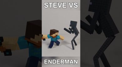 Steve VS Enderman