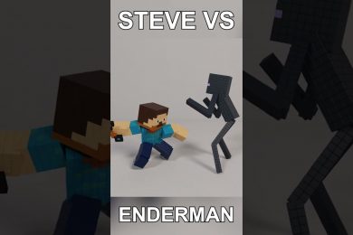 Steve VS Enderman
