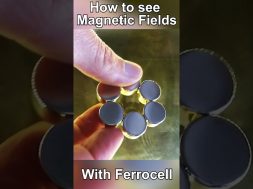Ferrocell to see the Magnetic Fields
