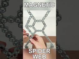 Magnetic Spider WEB