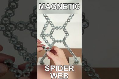 Magnetic Spider WEB