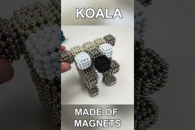Magnetic Koala