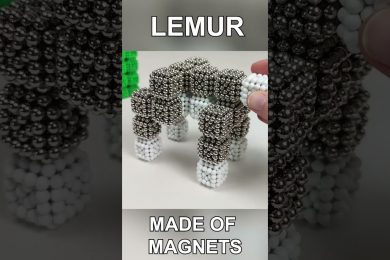 Magnetic Lemur