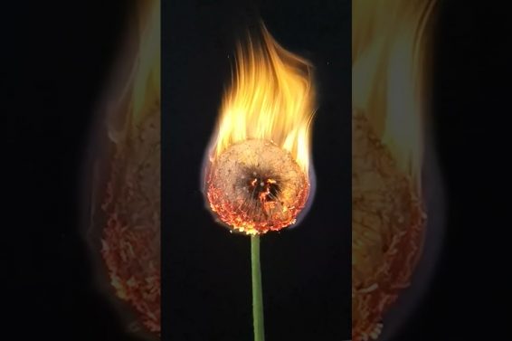 High Voltage Burn