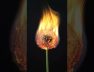 High Voltage Burn