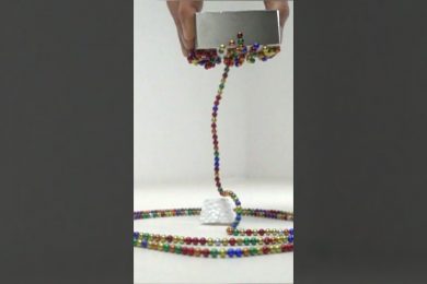 It looks like a snake