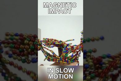 Torn by two Magnetic Fields