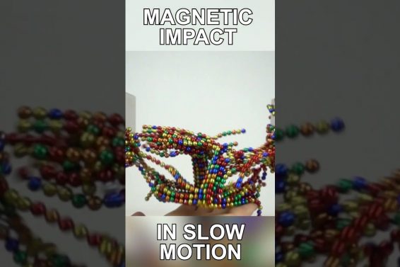Torn by two Magnetic Fields