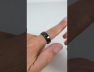 Polar Ring , Magnetic Fidget Toy