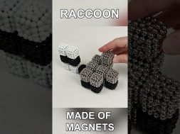 Raccoon made of Magnetic Balls