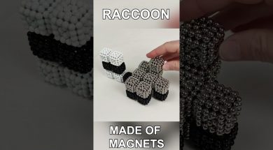 Raccoon made of Magnetic Balls