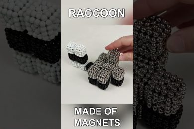 Raccoon made of Magnetic Balls