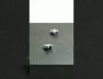 The Magnets Spin Levitating