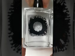 Ferrofluid Worms