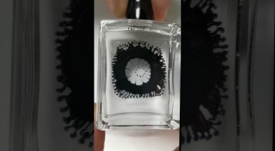 Ferrofluid Worms