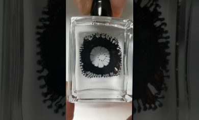 Ferrofluid Worms