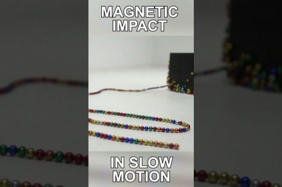 Magnetic Snake in slow motion