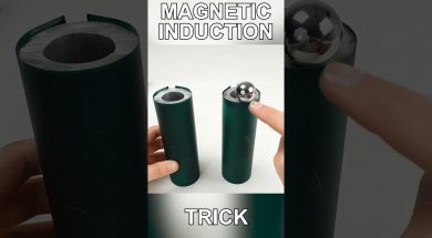 Magnetic Induction end Magnetic Fields