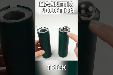 Magnetic Induction end Magnetic Fields