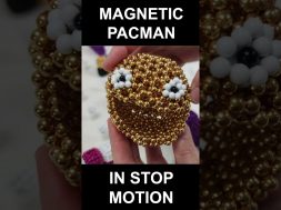 Magnetic PACMAN