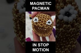 Magnetic PACMAN
