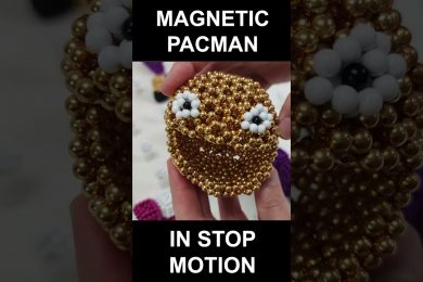 Magnetic PACMAN