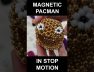 Magnetic PACMAN