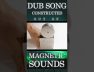 DUB Song with Magnetic Sounds