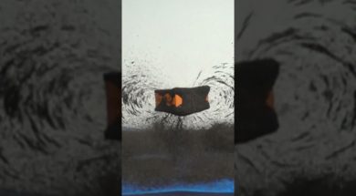 Magnetic Fields in Slow Motion