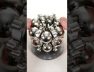 Double Magnetic Donut