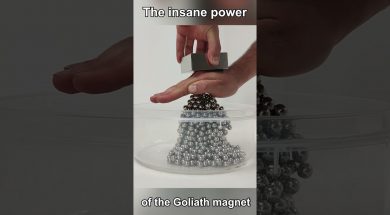 Goliath VS Steel Balls