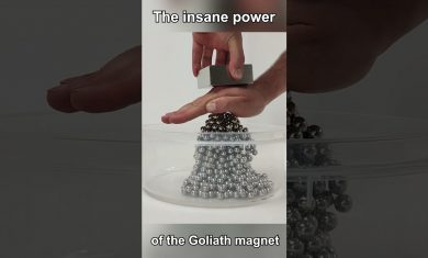 Goliath VS Steel Balls